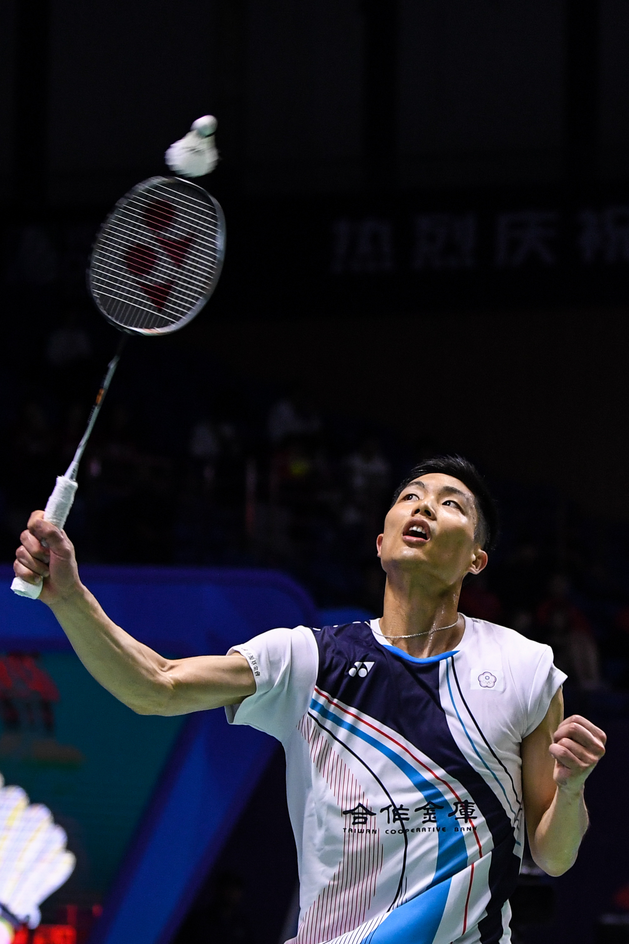 它不仅是对 它不仅是对